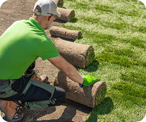 Professional showing artificial grass sample