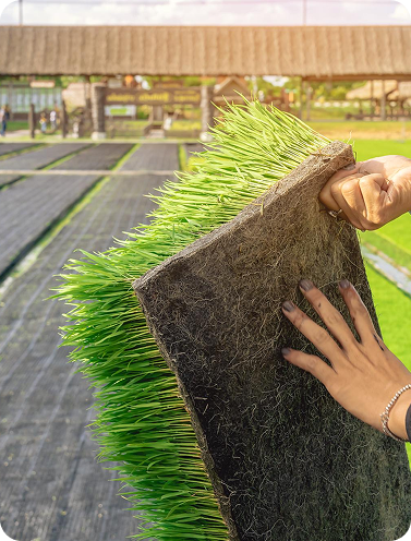 Artificial grass roll