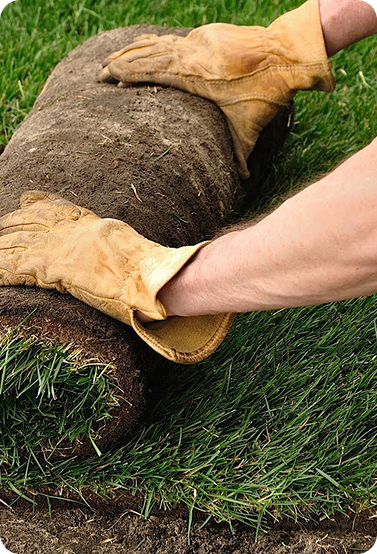 Hands holding artificial grass sample