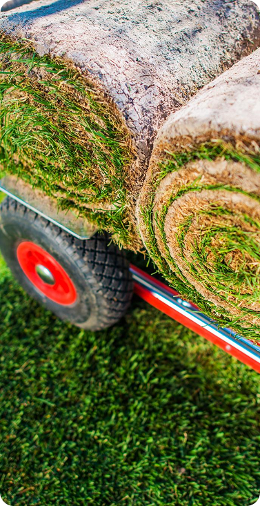 Artificial grass installation tools